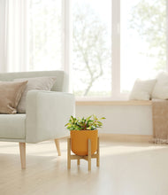 Load image into Gallery viewer, Sunset Orange stand:bamboo