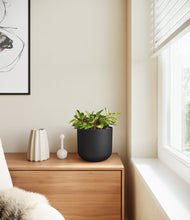 Load image into Gallery viewer, Stone Black