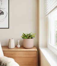 Load image into Gallery viewer, Sandy Pink