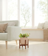 Load image into Gallery viewer, Sandy Pink stand:walnut