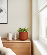 Load image into Gallery viewer, Earth Red