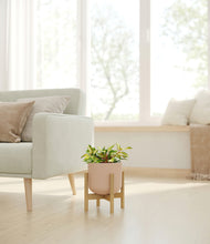 Load image into Gallery viewer, Sandy Pink stand:bamboo