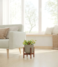 Load image into Gallery viewer, Sage Green stand:walnut