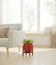 Load image into Gallery viewer, Earth Red stand:walnut