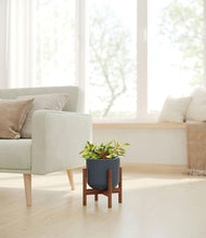 Load image into Gallery viewer, Iron Gray stand:walnut