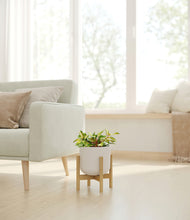 Load image into Gallery viewer, Natural Bamboo stand:bamboo