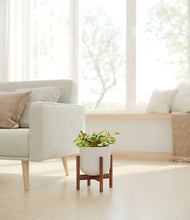 Load image into Gallery viewer, Natural Bamboo stand:walnut