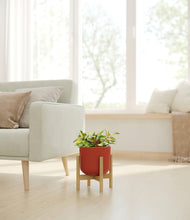 Load image into Gallery viewer, Earth Red stand:bamboo