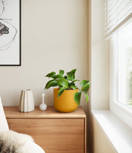 Load image into Gallery viewer, Sunset Orange