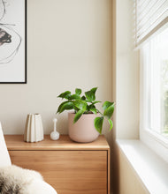 Load image into Gallery viewer, Sandy Pink