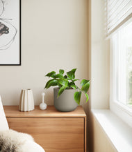 Load image into Gallery viewer, Sage Green