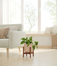 Load image into Gallery viewer, Sandy Pink stand:walnut