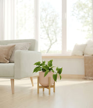 Load image into Gallery viewer, Sandy Pink stand:bamboo