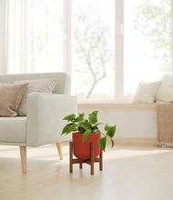 Load image into Gallery viewer, Earth Red stand:walnut