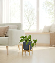 Load image into Gallery viewer, Iron Gray stand:bamboo