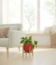 Load image into Gallery viewer, Earth Red stand:bamboo