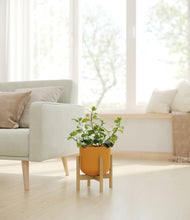 Load image into Gallery viewer, Sunset Orange stand:bamboo