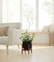 Load image into Gallery viewer, Stone Black stand:walnut