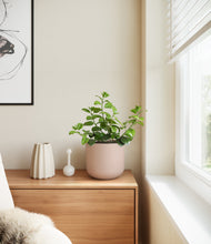 Load image into Gallery viewer, Sandy Pink