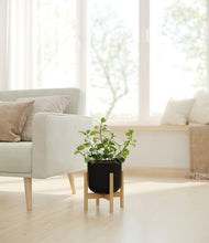 Load image into Gallery viewer, Stone Black stand:bamboo