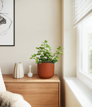 Load image into Gallery viewer, Earth Red