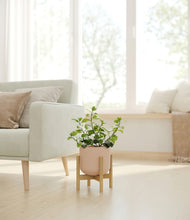 Load image into Gallery viewer, Sandy Pink stand:bamboo