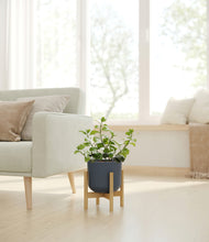 Load image into Gallery viewer, Iron Gray stand:bamboo