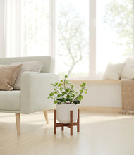 Load image into Gallery viewer, Natural Bamboo stand:walnut