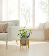 Load image into Gallery viewer, Sage Green stand:bamboo