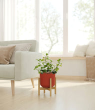 Load image into Gallery viewer, Earth Red stand:bamboo