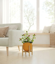 Load image into Gallery viewer, -