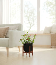 Load image into Gallery viewer, -