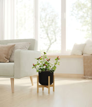 Load image into Gallery viewer, -