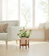 Load image into Gallery viewer, -