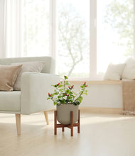 Load image into Gallery viewer, -