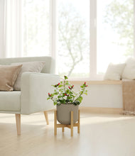 Load image into Gallery viewer, -