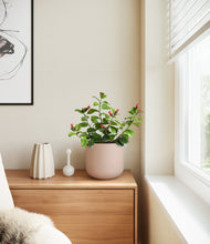 Load image into Gallery viewer, -