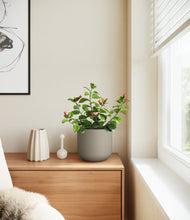 Load image into Gallery viewer, -