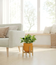 Load image into Gallery viewer, Sunset Orange stand:bamboo