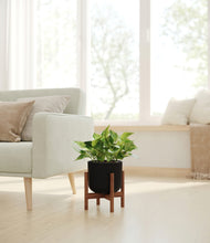 Load image into Gallery viewer, Stone Black stand:walnut