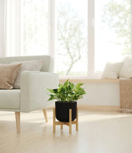 Load image into Gallery viewer, Stone Black stand:bamboo