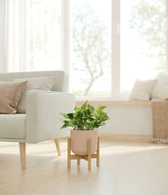 Load image into Gallery viewer, Sandy Pink stand:bamboo