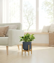 Load image into Gallery viewer, Iron Gray stand:bamboo