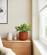 Load image into Gallery viewer, Earth Red