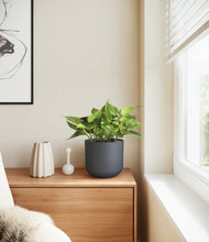 Load image into Gallery viewer, Iron Gray