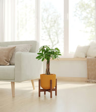 Load image into Gallery viewer, Sunset Orange stand:walnut