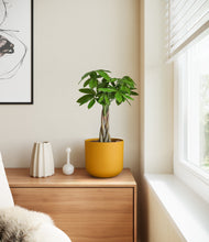 Load image into Gallery viewer, Sunset Orange