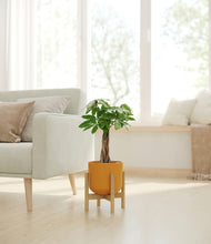 Load image into Gallery viewer, Sunset Orange stand:bamboo