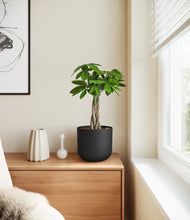 Load image into Gallery viewer, Stone Black