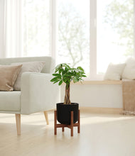 Load image into Gallery viewer, Stone Black stand:walnut